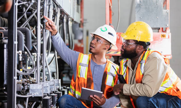 Best Electrical System Inspection  in Zumbrota, MN