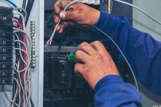 Best Electrical Upgrades for Homes  in Zumbrota, MN